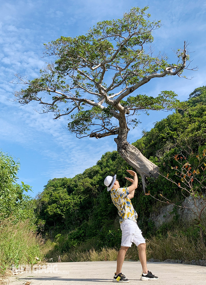 Ngoài đảo ngọc, du lịch Kiên Hải cũng rất hấp dẫn bằng với hình ảnh hoang sơ, gần gũi với thiên nhiên. Trong ảnh: Du khách chụp ảnh với cây cô đơn trên đảo Nam Du.